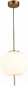 Люстра средней высоты ST Luce Lacus SL1621.213.01