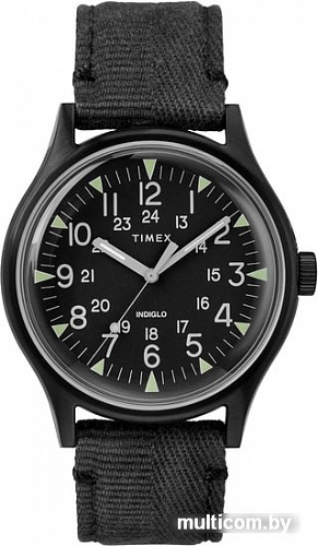 Наручные часы Timex TW2R68200