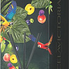 Аромадиффузор Tasotti Diffuser Fruity jungle TS30814
