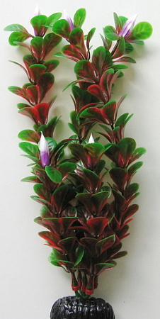 Декорация Barbus Людвигия ползучая Plant 022/50 (красный)