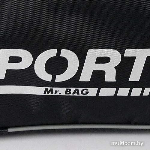 Спортивная сумка Mr.Bag 020-S050R-MB-BGR (серый)