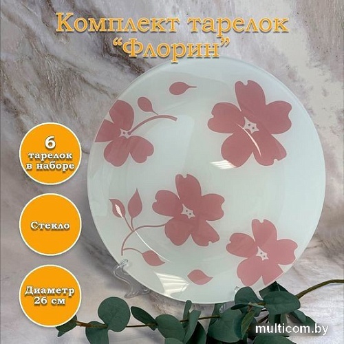 Набор обеденных тарелок NiNaGlass Флорин 85-123-26 4840160892