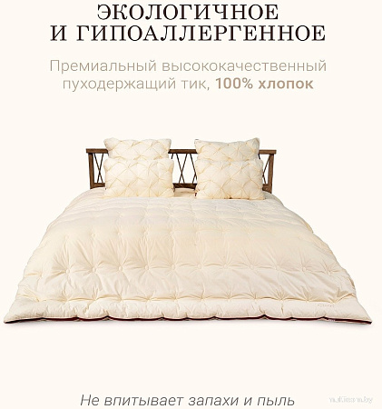 Одеяло Espera Cloud Champagne ЕС-6060 (220x240)