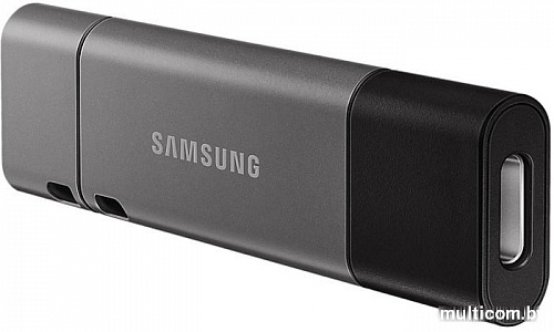 USB Flash Samsung DUO Plus 256GB (серый)
