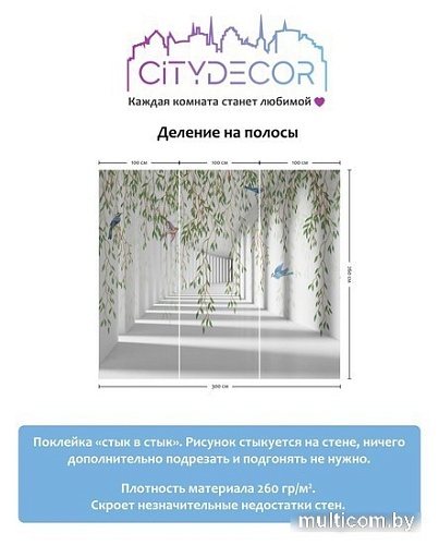 Виниловые обои Citydecor Flower Tunnel 3D 1 300x260