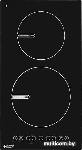 Варочная панель Exiteq EXH-310