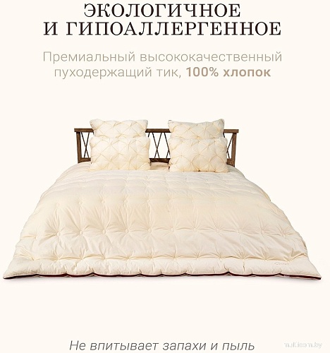 Одеяло Espera Cloud Champagne ЕС-6060 (220x240)