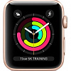 Часы Apple Watch Series 3 38mm Aluminum Case with Sport Band