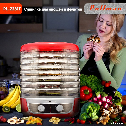 Pullman PL-2281Т