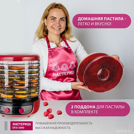 Мастерица EFD-2000