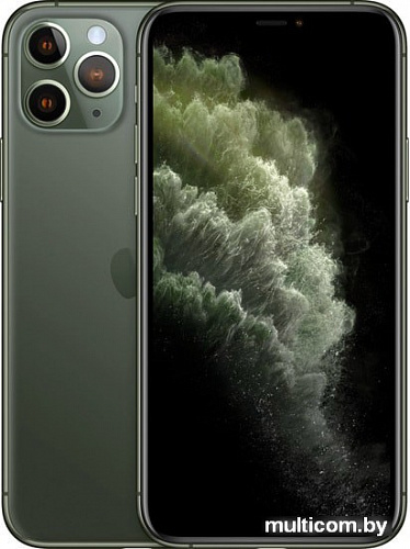 Смартфон Apple iPhone 11 Pro Max 512GB Dual SIM (темно-зеленый)