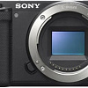 Беззеркальный фотоаппарат Sony ZV-E10 Body (черный)