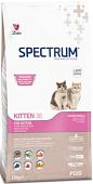 Сухой корм для кошек Spectrum Kitten 38 с курицей 12 кг