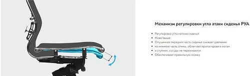 Офисное кресло Metta ErgoLife SynchroSit 10 B1-104D (черный)