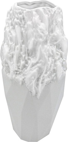 Lenardi Эфиопия 135-052