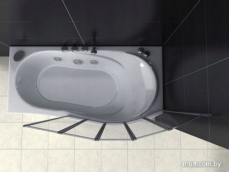 Душевая шторка Rea Idea 120 (хром/прозрачное стекло)
