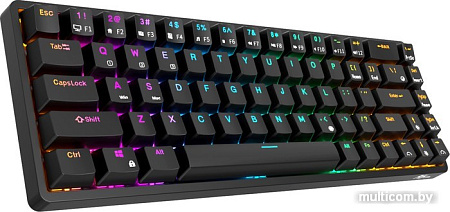 Клавиатура Royal Kludge RKG68 RGB (черный, RK Red)