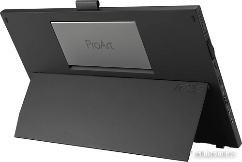 Портативный монитор ASUS ProArt PA169CDV