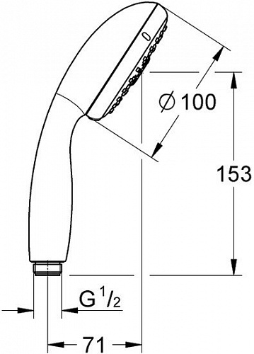 Душевая лейка Grohe New Tempesta 100 28421002