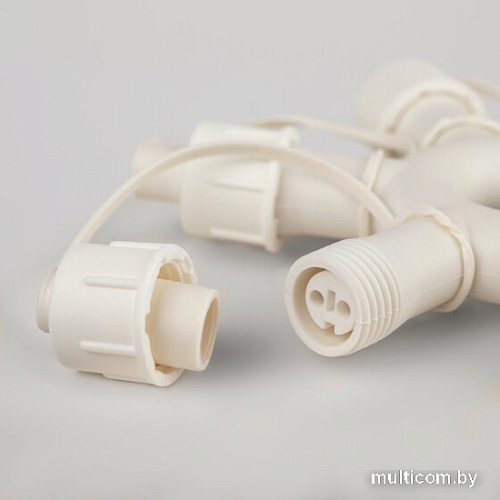 Гирлянда ЭРА ERASF22-42