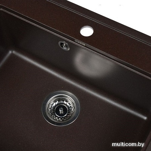 Кухонная мойка Wisent 600-27W (с сифоном GER013)