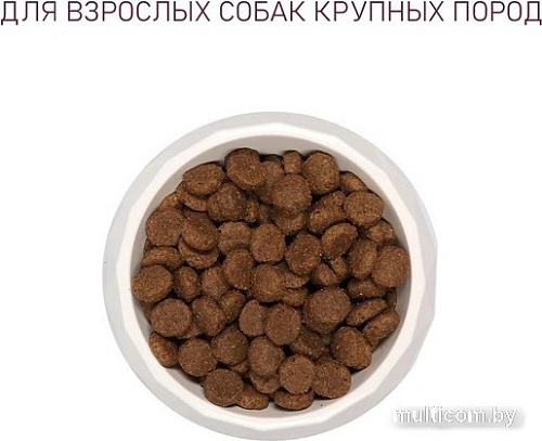 Сухой корм для собак Award Adult Large для крупных пород с курицей, индейкой с добавлением тыквы и шиповника 2 кг