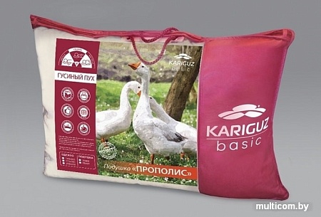 Спальная подушка Kariguz Прополис МППр10-5.1 (68x68 см)
