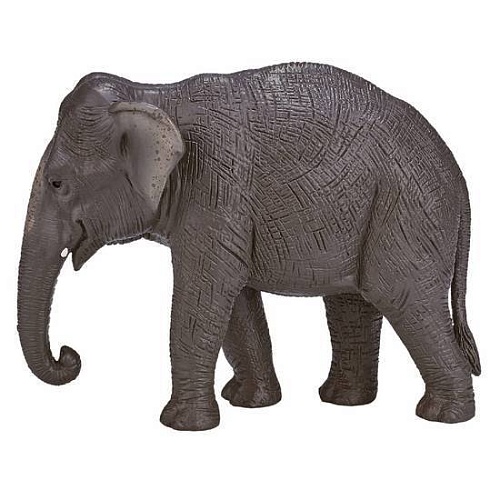 Фигурка Konik Азиатский слон AMW2115