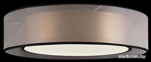 Припотолочная люстра Freya Zoticus FR6005CL-L36G