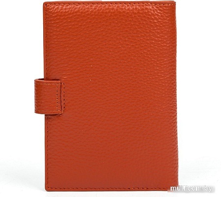 Обложка на документы Fabretti QPC13D-6