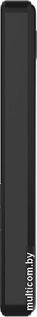 Кнопочный телефон Xenium X240 (черный)