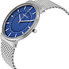 Наручные часы Skagen SKW6234