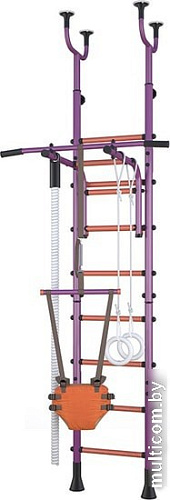 Детский спортивный комплекс Polini Kids Sport Neo враспор (фиолетовый)