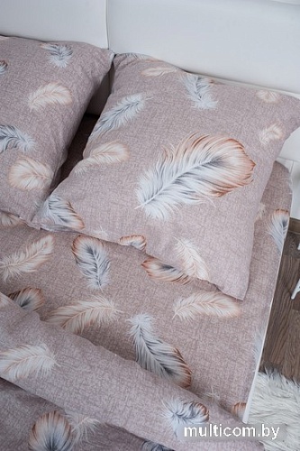 Постельное белье Миланика Перья 2сп (бязь)