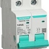 Выключатель нагрузки Tengen TGH1N-125, 2P, 125A, 2M TEN340018