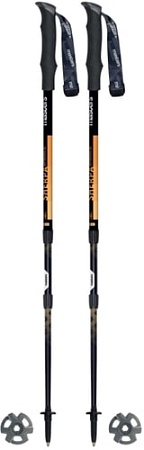 Треккинговые палки Masters Shepra Antishock CSS 01S2519