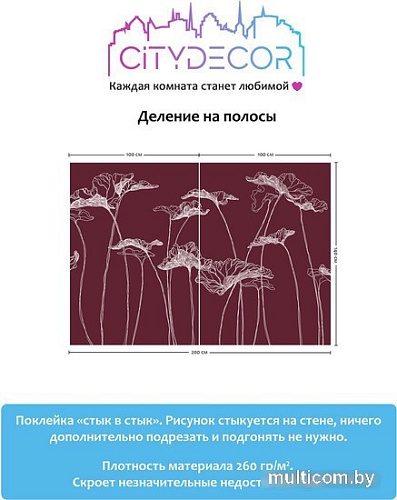 Виниловые обои Citydecor Perfect Lines 7 200x140