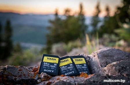 Карта памяти Sony SF-M Tough SDXC 128GB