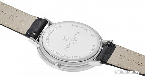 Наручные часы Pierre Cardin Belleville Park CBV.1029