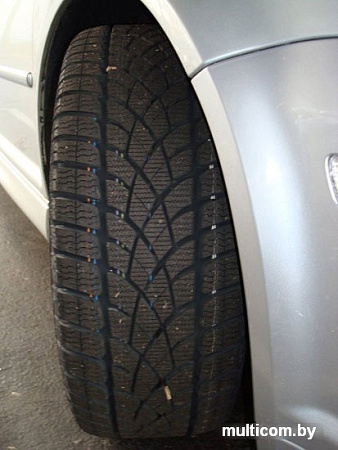Автомобильные шины Dunlop SP Winter Sport 3D 255/40R20 97V