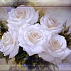 Картина Декарт Нежные белые розы 8Л0465
