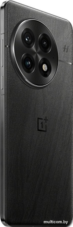 Смартфон OnePlus 13 12GB/256GB китайская версия (обсидиан)