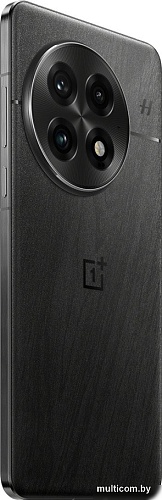 Смартфон OnePlus 13 12GB/256GB китайская версия (обсидиан)