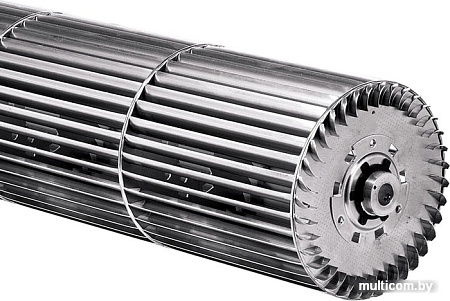 Тепловая завеса Ballu BHC-M25T12-PS