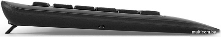 Клавиатура ExeGate Professional Standard LY-E5500M Color box