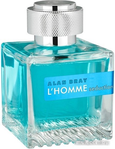 Alan Bray L'Homme Seduction for Men EdT (100 мл)