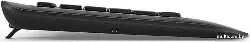 Клавиатура ExeGate Professional Standard LY-E5500M Color box
