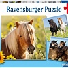 Набор пазлов Ravensburger Пони R08011 (147 эл)