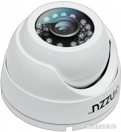 CCTV-камера Ginzzu HAD-5301A