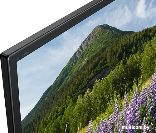 Телевизор Sony KD-65XF7096